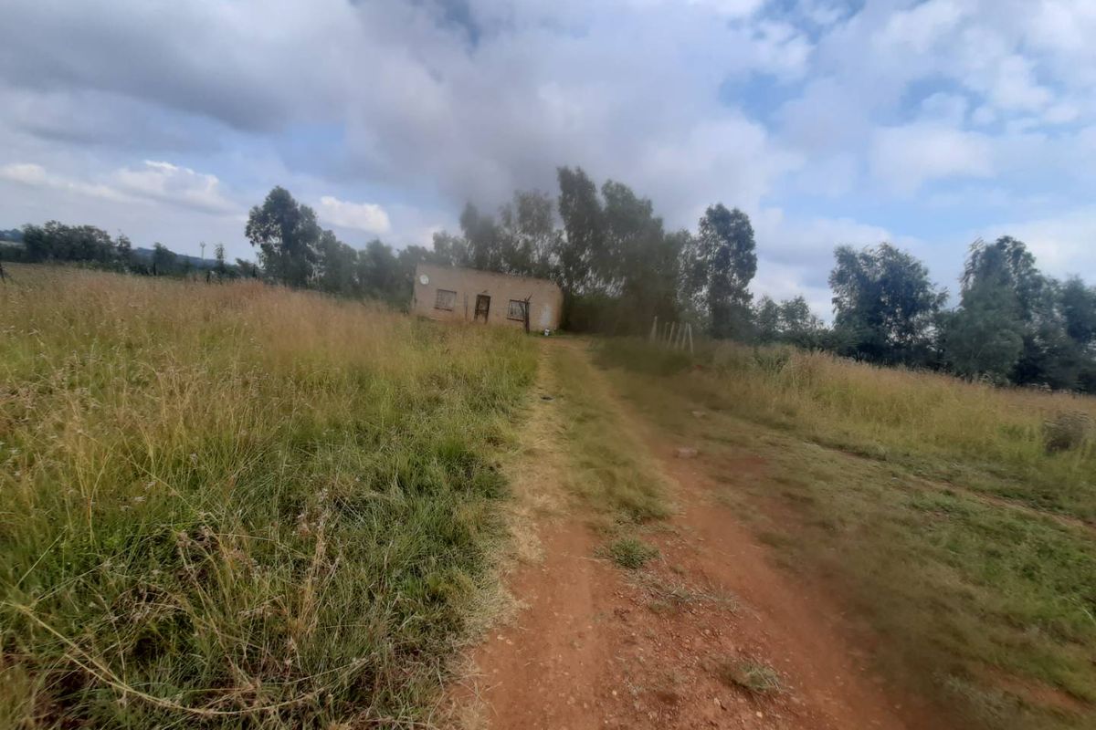 Small holding next to the Fleemarket in De deur on the new Main Road - Photo 3