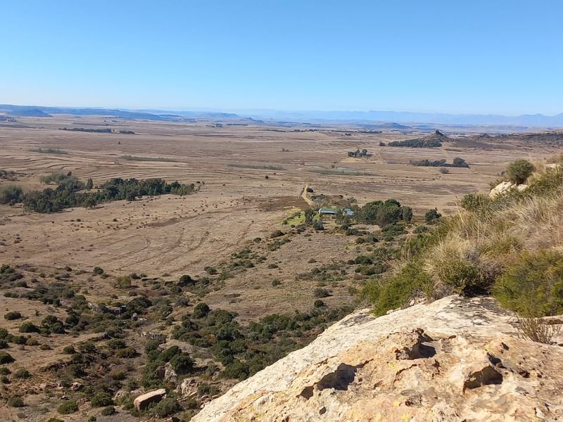 Unmatched Opportunity: Farm & Bottling Biz in One - Photo 5
