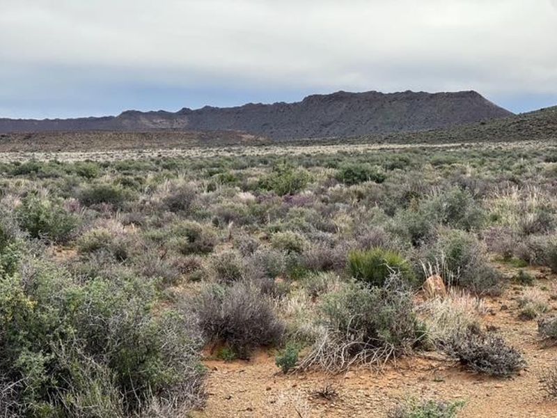 A Rare Karoo Legacy | 5 000 Hectares of Endless Opportunity - Photo 10