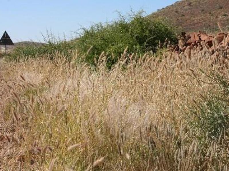 CATTLE / SHEEP / GAME FARMS FOR SALE KARAS REGION - Photo 6
