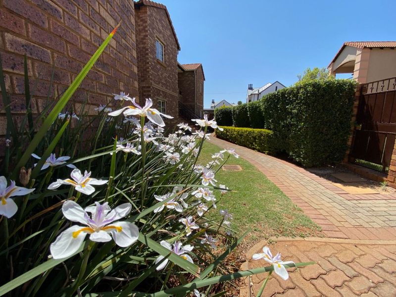2 bedrooms Townhouse in EQUESTRIA - Photo 2