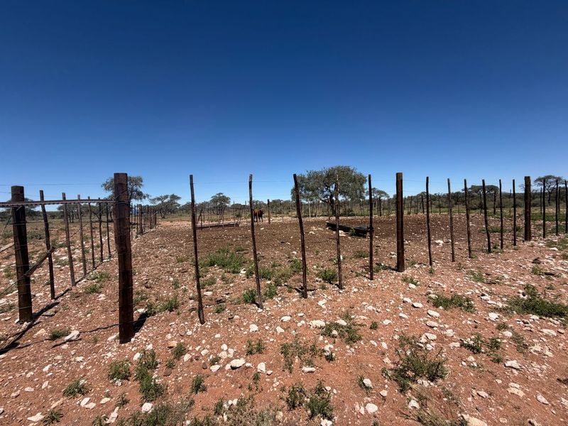 URGENT FARM SALE - Photo 3