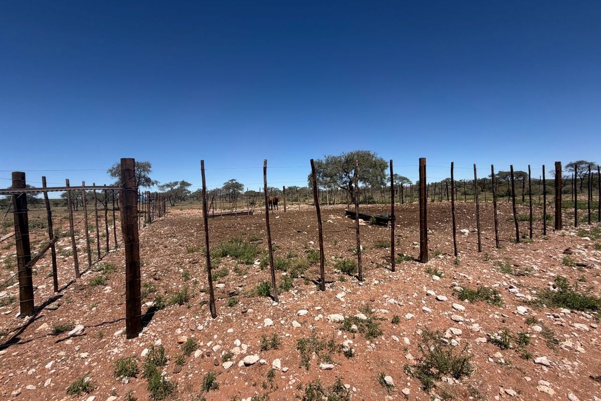 URGENT FARM SALE - Photo 3