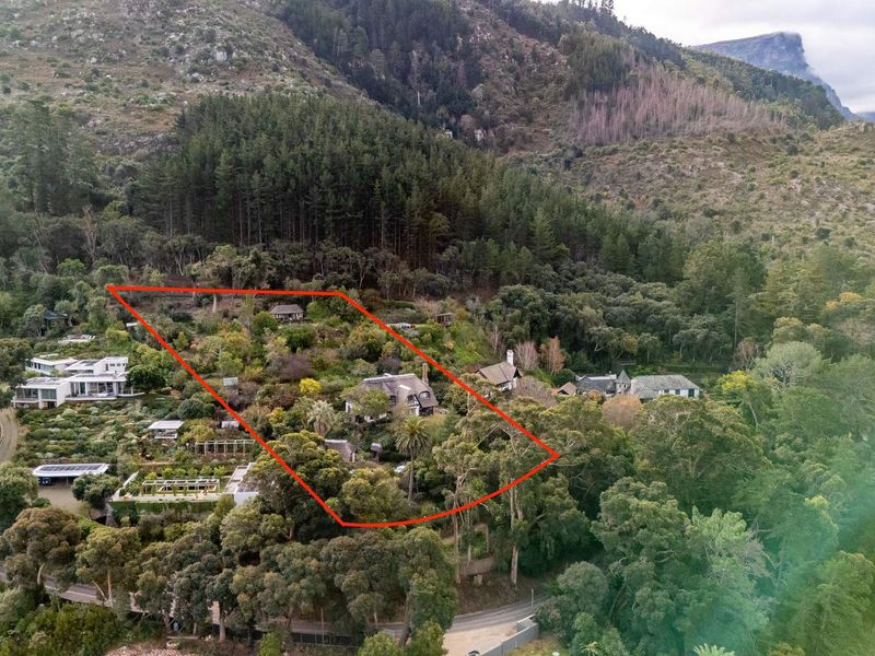 Witteboomen - a world above Constantia! - Photo 3