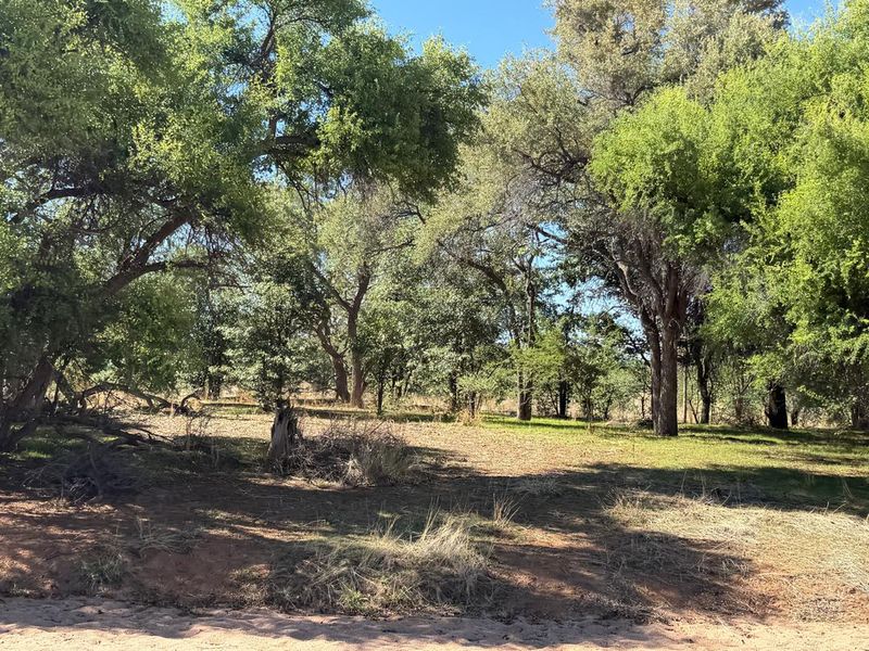 GAME FARM FOR SALE - KAMANJAB - Photo 7