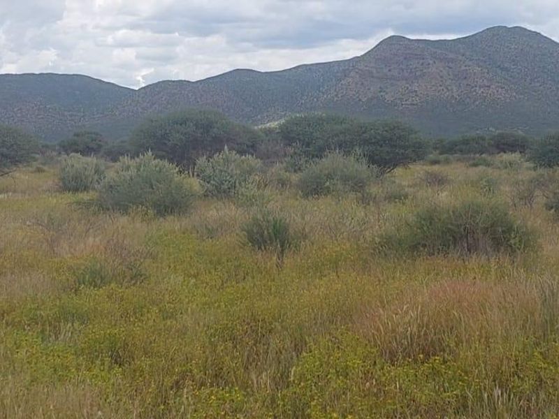 A scenic view of the expansive agricultural land featuring natural indigenous vegetation and a prominent mountain range in the background.