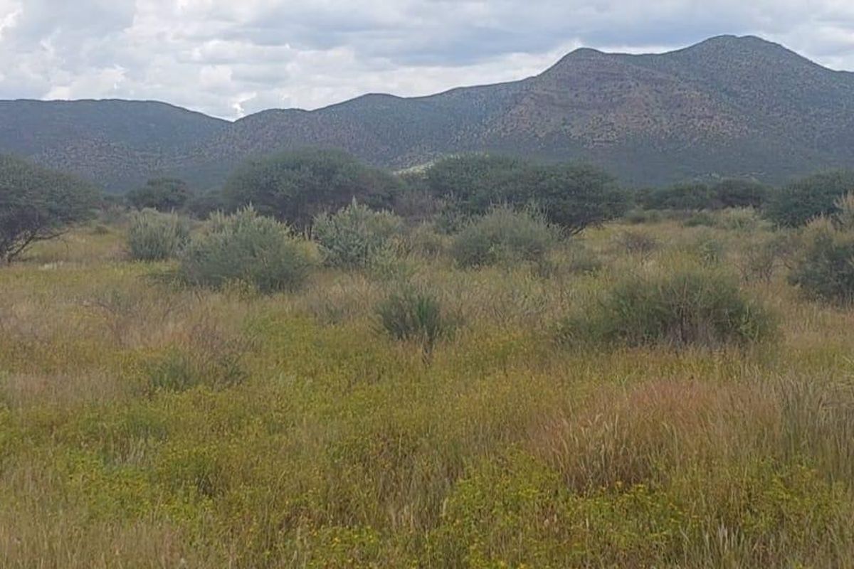 A scenic view of the expansive agricultural land featuring natural indigenous vegetation and a prominent mountain range in the background.