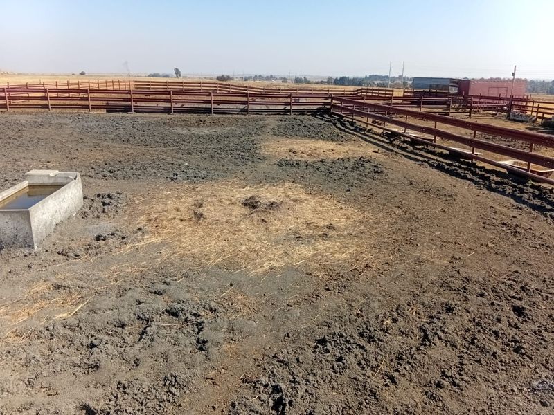 Kraal & Grazing Land to Rent – Withok Estate, Brakpan - Photo 10