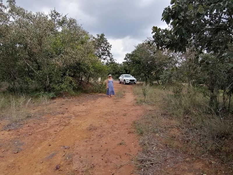 Build your dream retirement in the bushveld - Photo 7