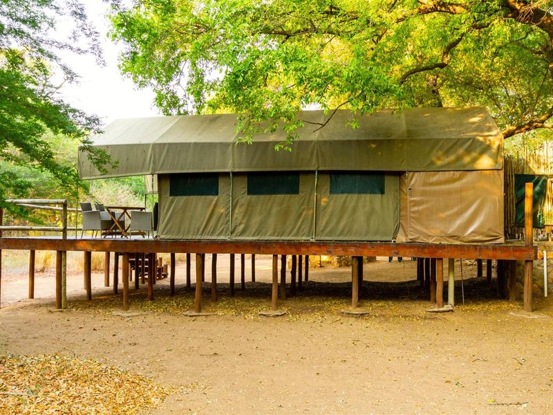 A raised canvas tent structure set on a timber deck, nestled within a natural wooded environment, featuring a covered outdoor patio area.