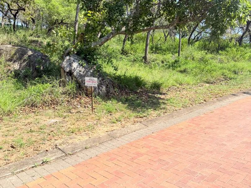 A view of a vacant residential plot featuring mature trees, natural rock formations, and an existing paved driveway.