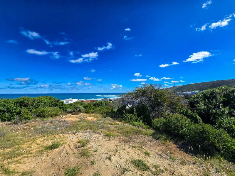 Prime vacant stand with permanent unobstructed views - Photo 3