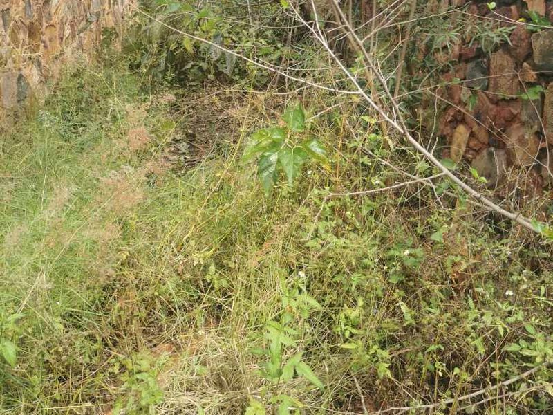 Pan Handle stand in Erasmuskloof for sale. - Photo 6