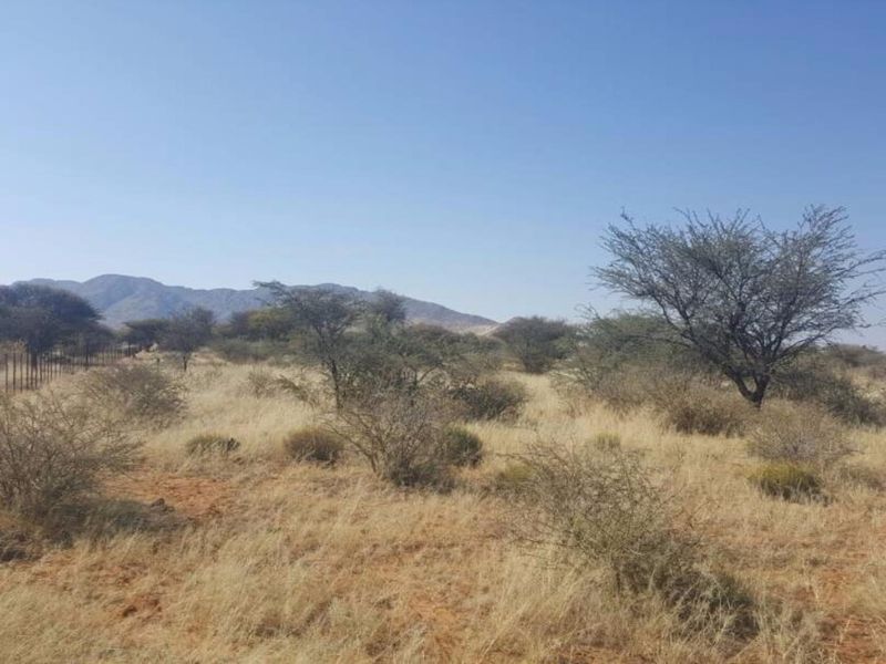 Smallholding South of Windhoek - Photo 4