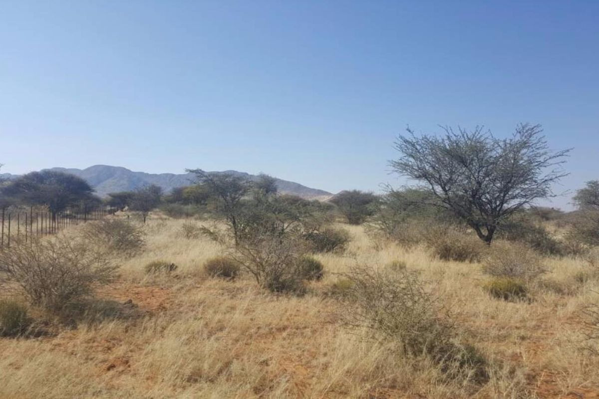 Smallholding South of Windhoek - Photo 4