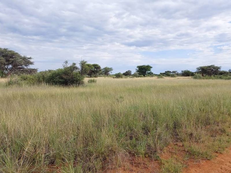 FOR SALE - Farm in the Steinhausen/Hochfeld area - Photo 5