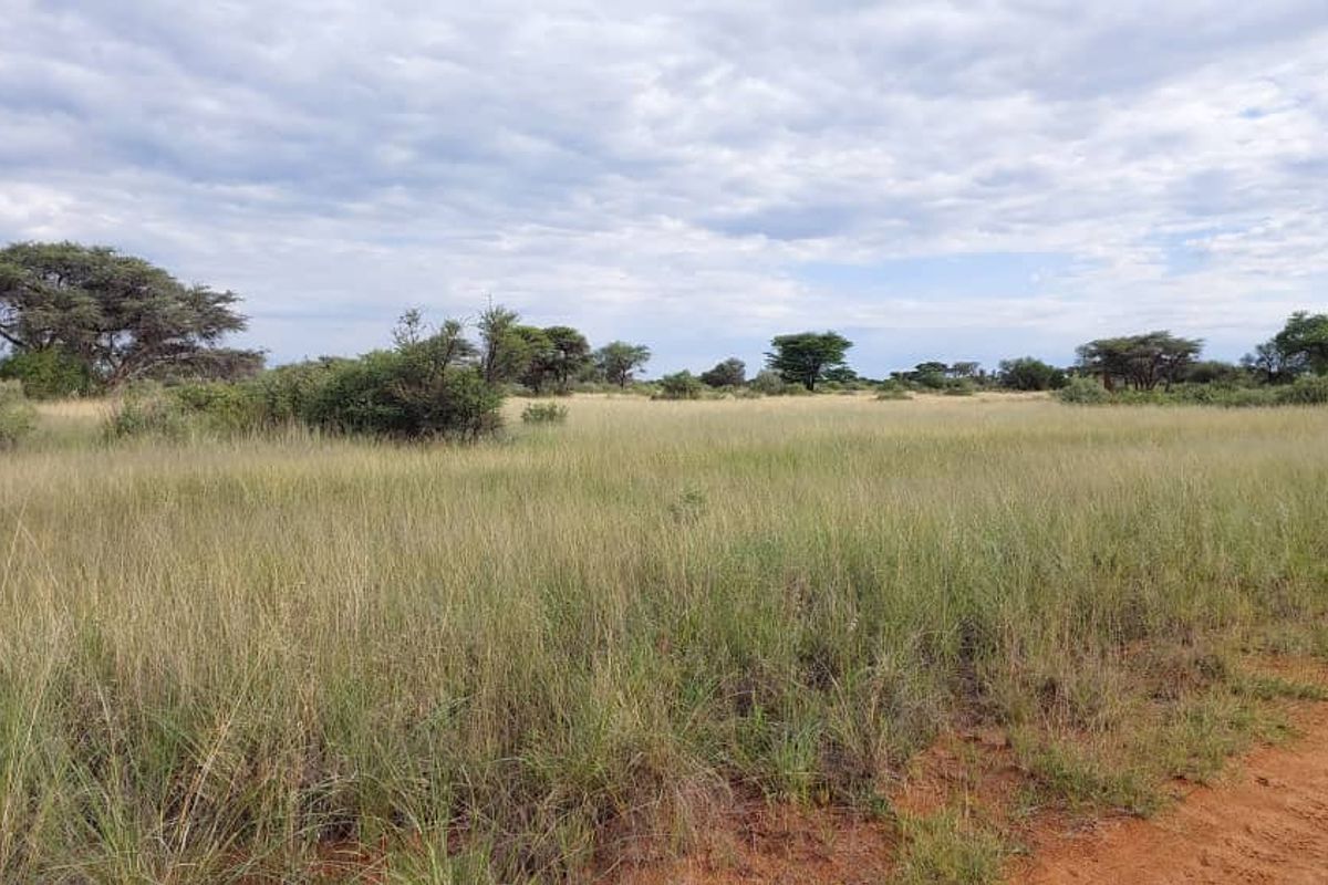 FOR SALE - Farm in the Steinhausen/Hochfeld area - Photo 5