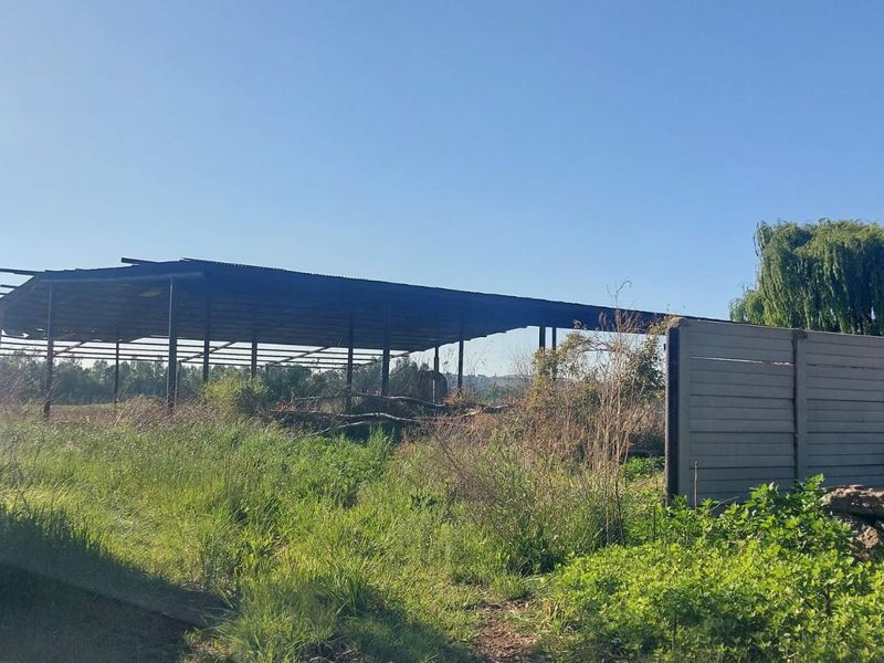 An open-sided metal frame structure with a corrugated roof, situated on a plot with overgrown vegetation and a precast concrete boundary wall.
