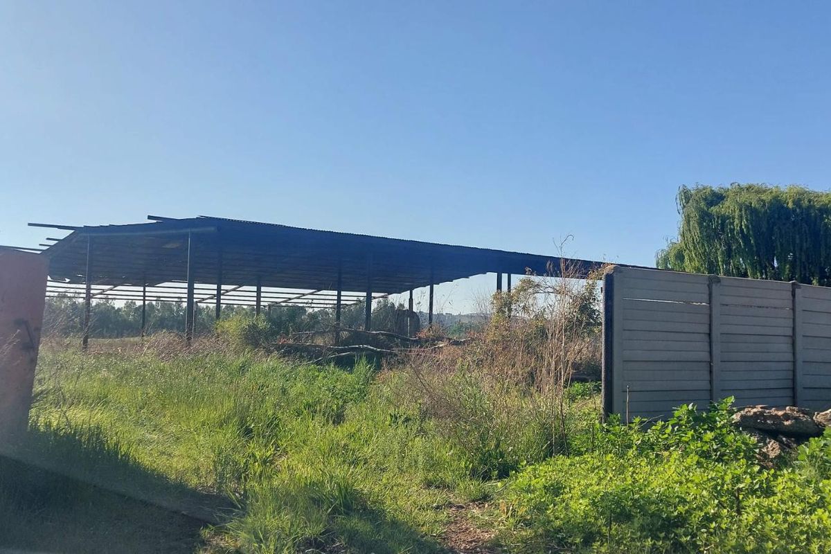 An open-sided metal frame structure with a corrugated roof, situated on a plot with overgrown vegetation and a precast concrete boundary wall.
