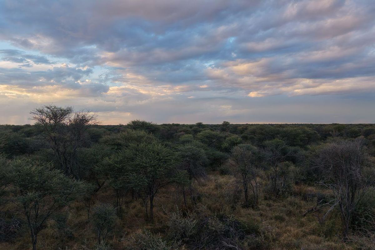 Expansive scenic view of the natural bushveld landscape under a dramatic cloudy sky, showcasing the property's rural setting.
