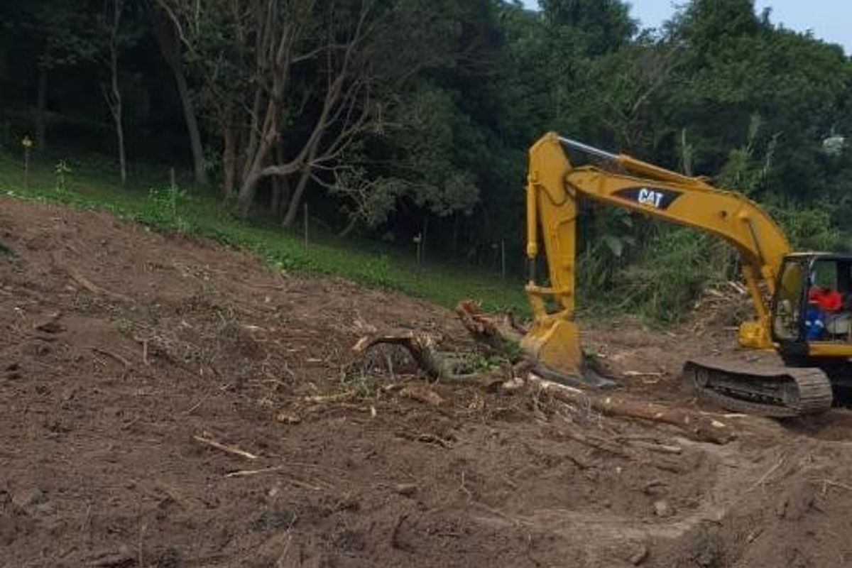 A view of a sloped residential plot currently undergoing land clearing and site preparation with mature trees in the background.