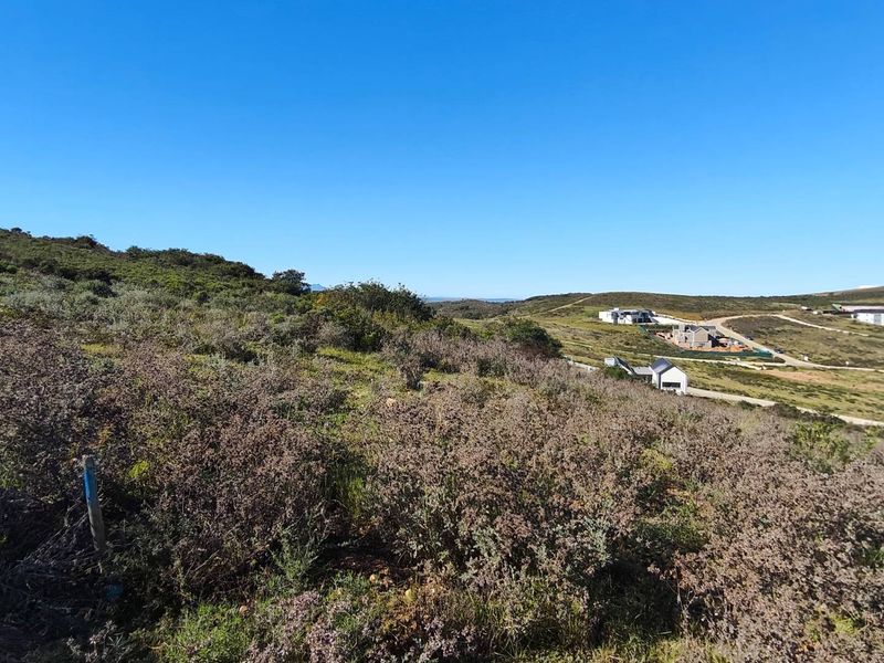 Vacant land in Wildlife Estate - Photo 3