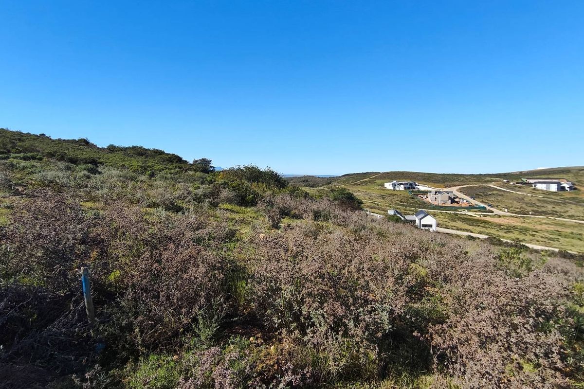 Vacant land in Wildlife Estate - Photo 3