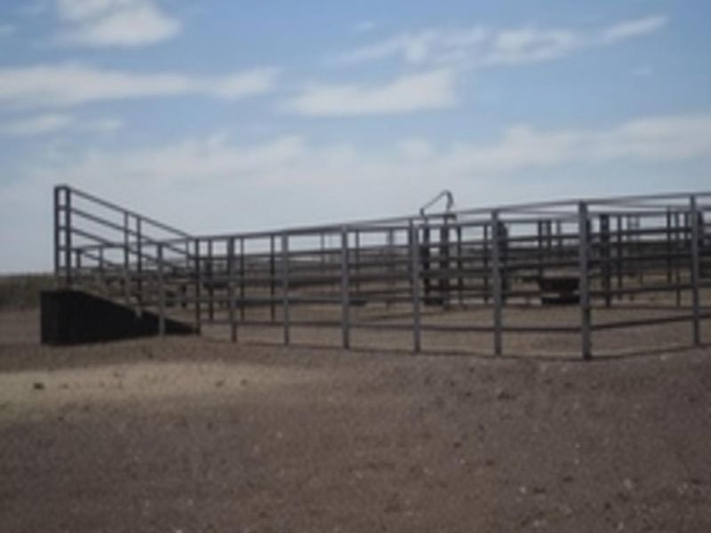 CATTLE FARM FOR SALE IN HARDAP DISTRICT - Photo 9