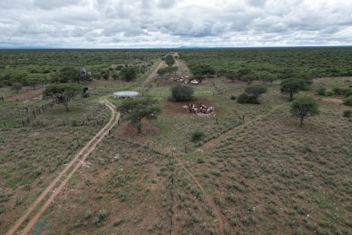 Farm for sale: Otjozondjupa - Namibia’s prime land - Photo 3
