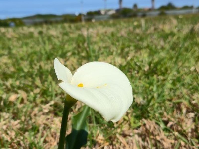 Vacant Land for Sale in Charming Franschekraal Villa Estate - Photo 7