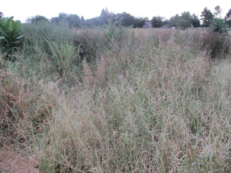 Tranquility in Henley - Photo 3