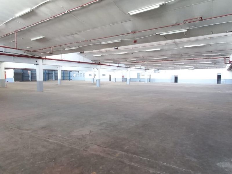 Industrial Property for Lease – Unit 03, Ben 05 - Photo 6