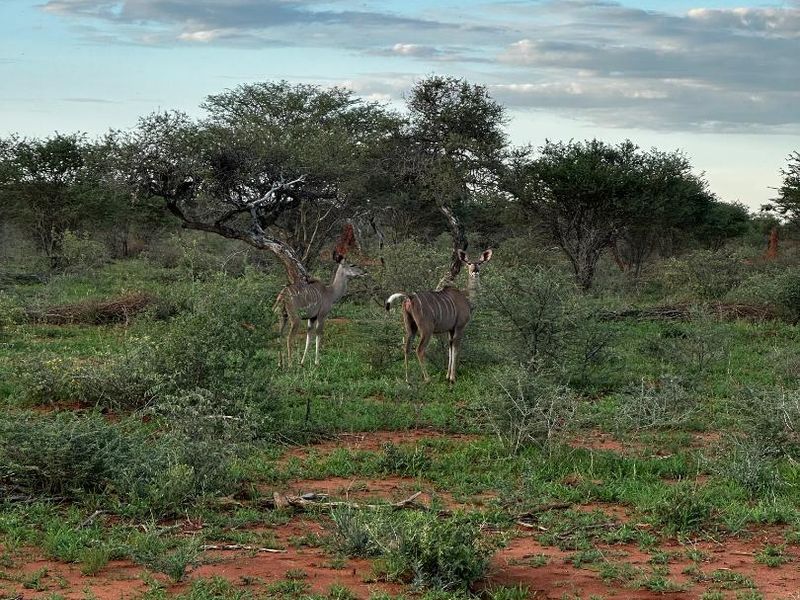 Hochfeld- Farmland For Sale - Photo 10