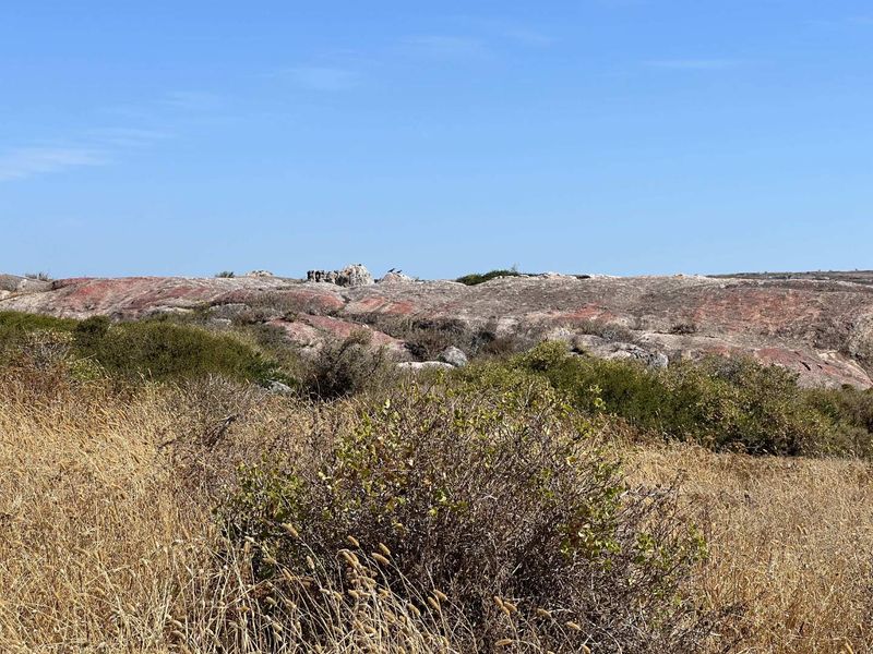 Elevated Lagoon-Views in Lifestyle Estate - Photo 5