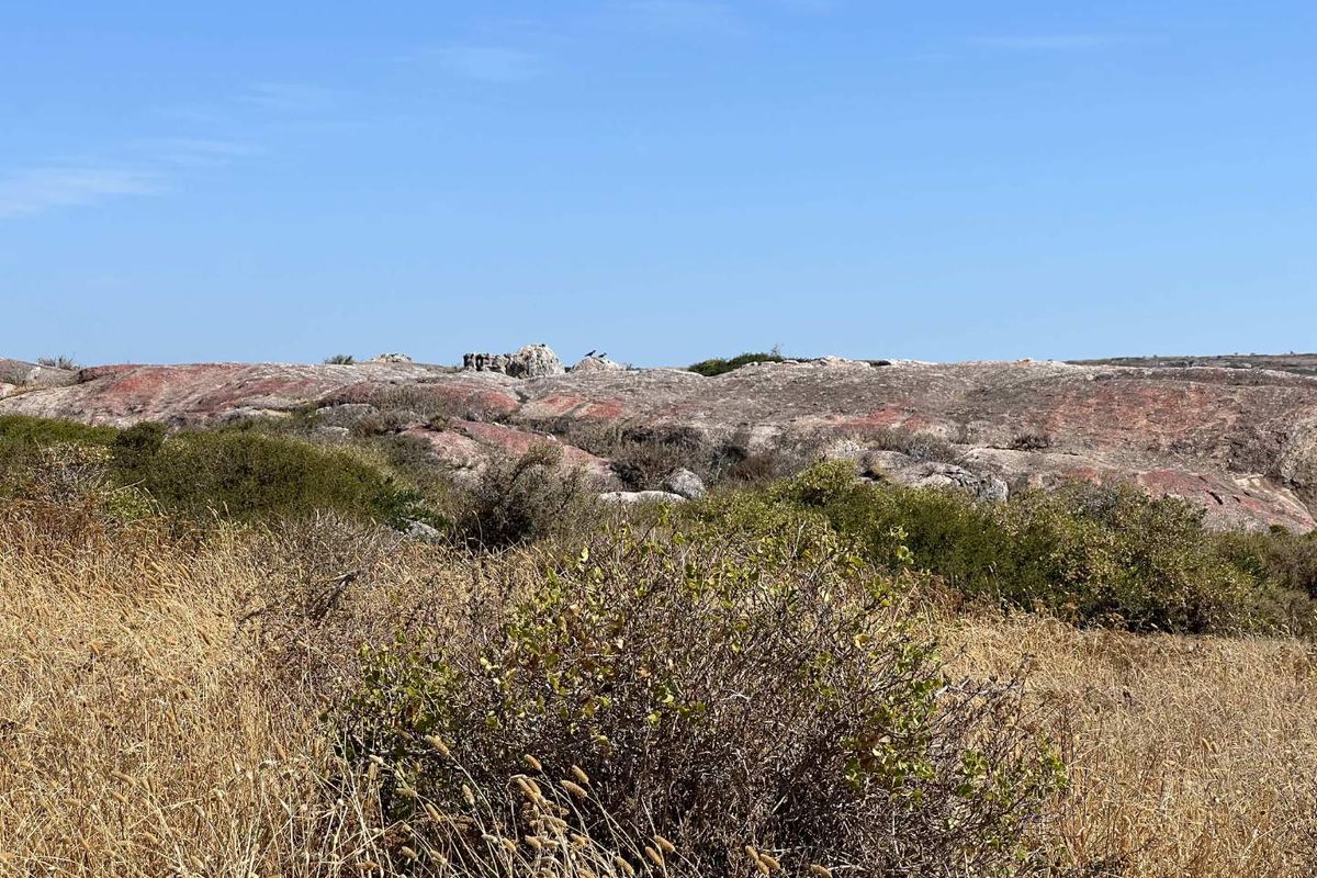 Elevated Lagoon-Views in Lifestyle Estate - Photo 5