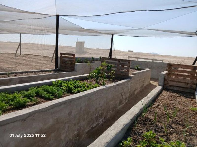 Swakop River Plot with established agricultural business for Sale - Photo 9