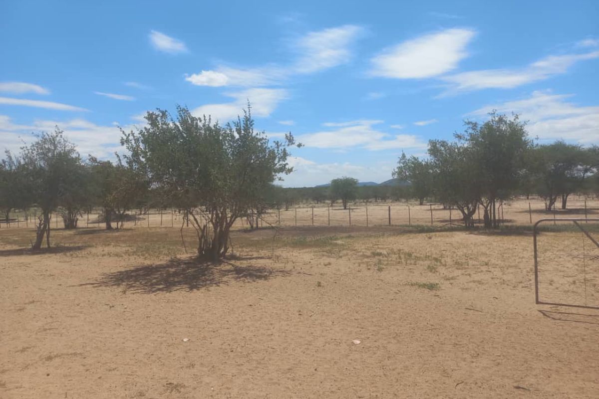 Ozombanda, Okahandja:  Agricultural Smallholding is for Sale - Photo 3