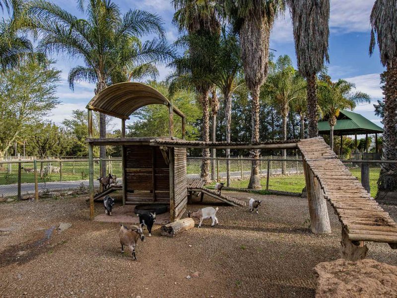Nature Lovers paradise in the heart of the Boland - Photo 6