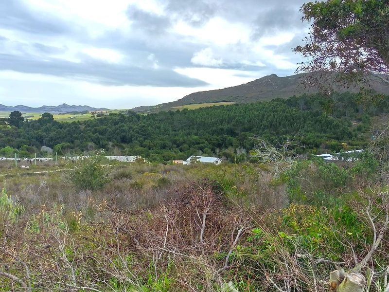 A scenic view of the surrounding natural landscape, featuring rolling hills, dense forest, and distant mountain ranges.