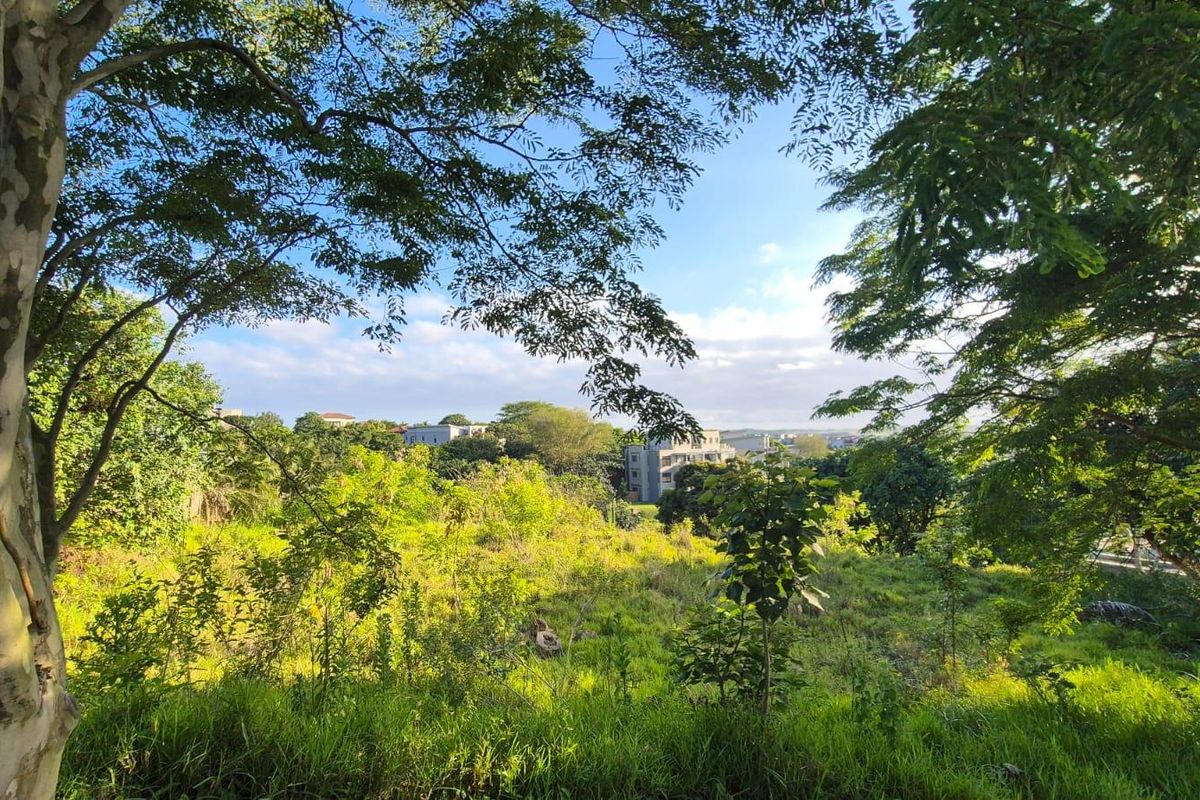 Build your own dream Home - Photo 5