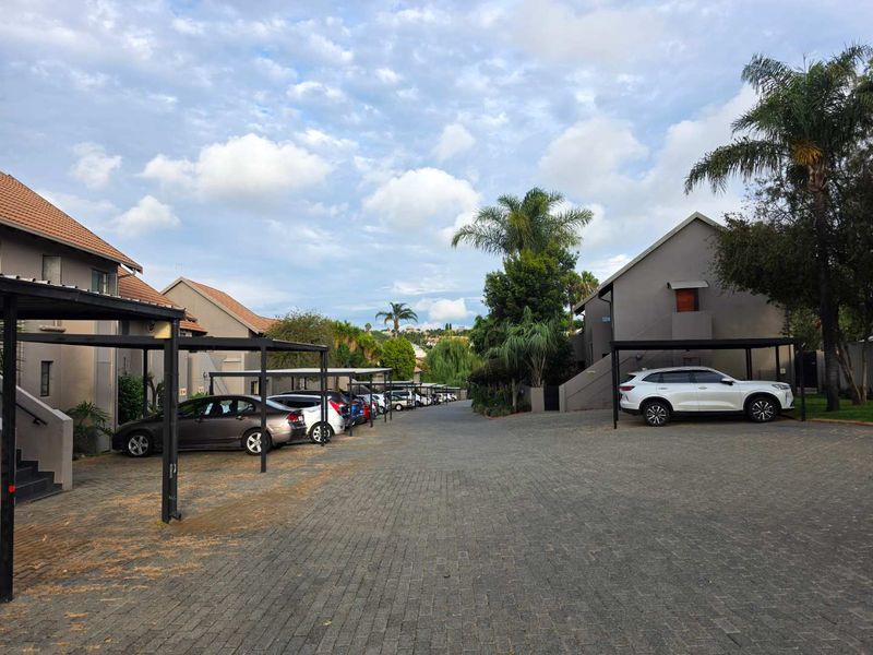 PET FRIENDLY APARTMENT - Photo 3