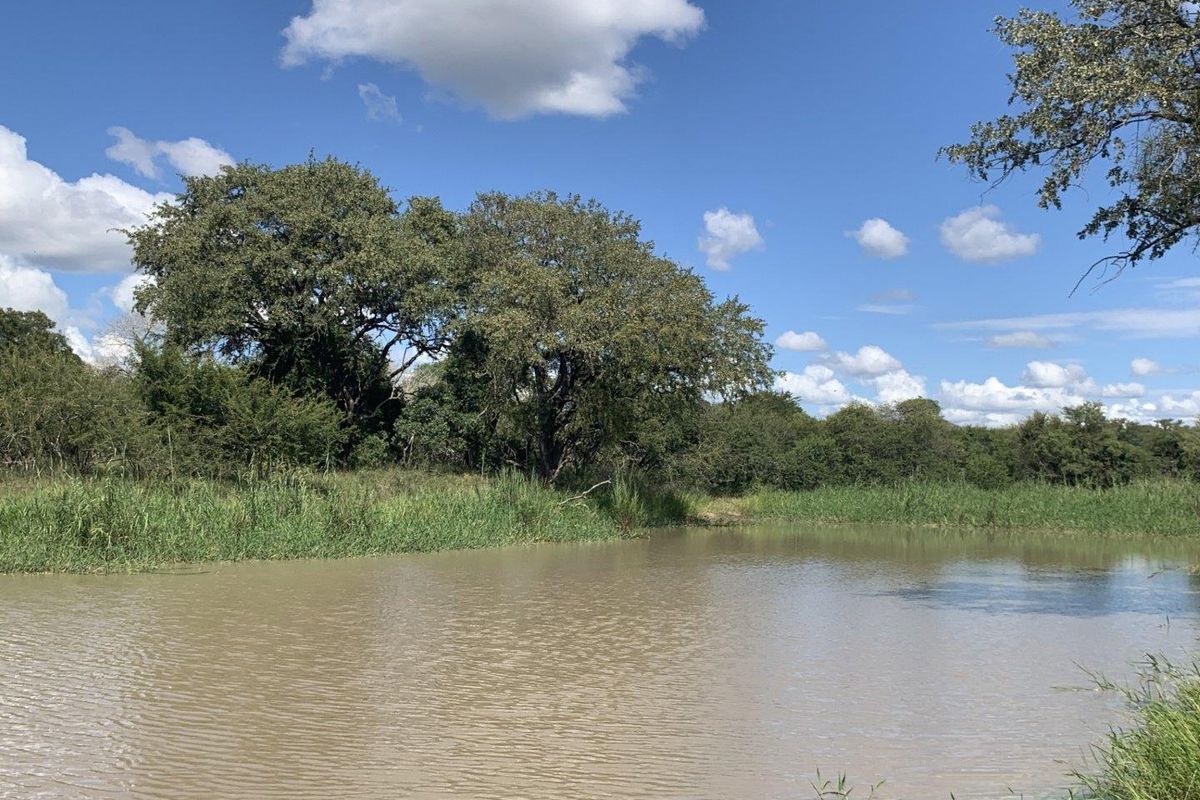 A scenic view of a natural pond surrounded by mature trees and lush vegetation on the residential property.