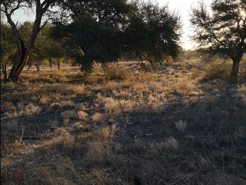 Four Vacant Stands for Sale in Askham – Prime Investment Opportunity! - Photo 4