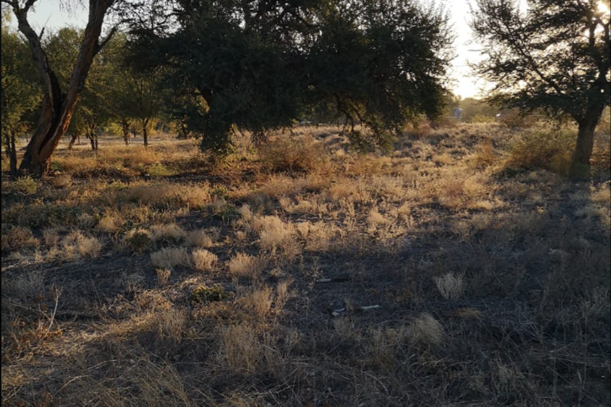 Four Vacant Stands for Sale in Askham – Prime Investment Opportunity! - Photo 4