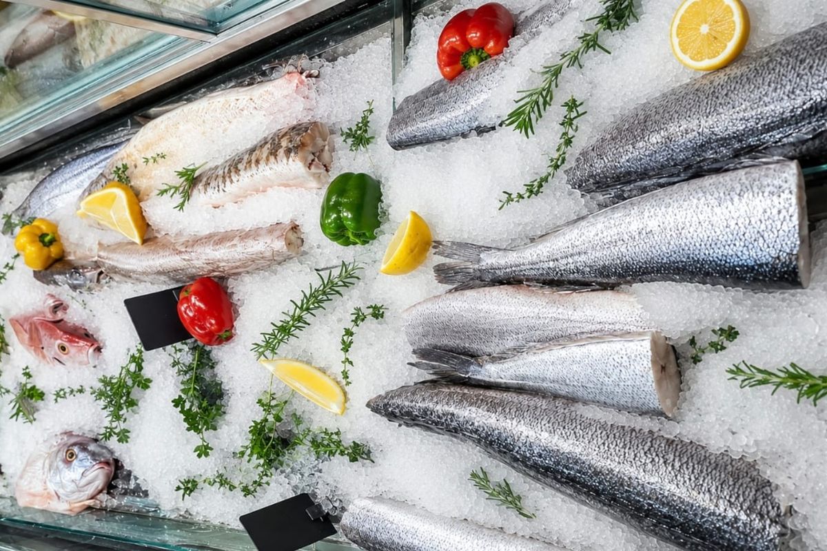 Established Seafood Retail Business for Sale - Bedfordview - Photo 3