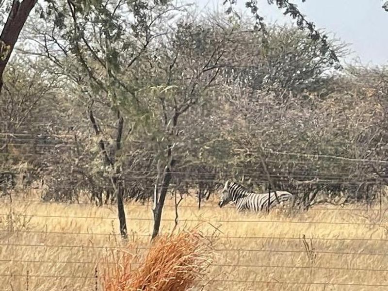 Okahandja- For Sale- N7000 000 - Photo 2