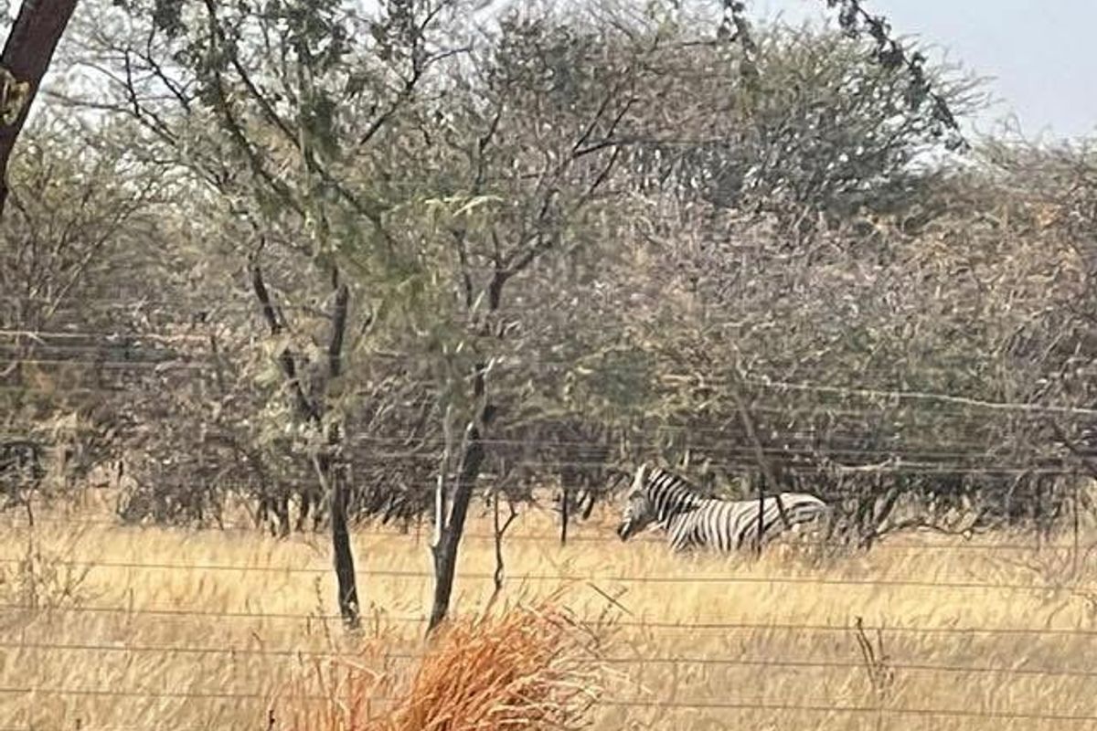 Okahandja- For Sale- N7000 000 - Photo 2