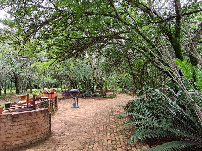 A tranquil garden area featuring mature trees, lush greenery, and a built-in brick braai set on a paved patio.