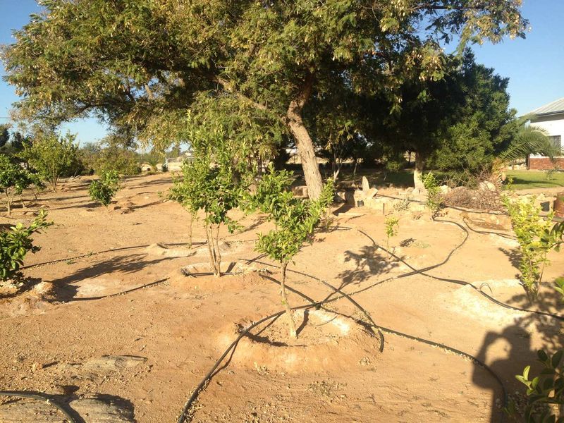 PLOT FOR SALE IN KARASBURG - Photo 6