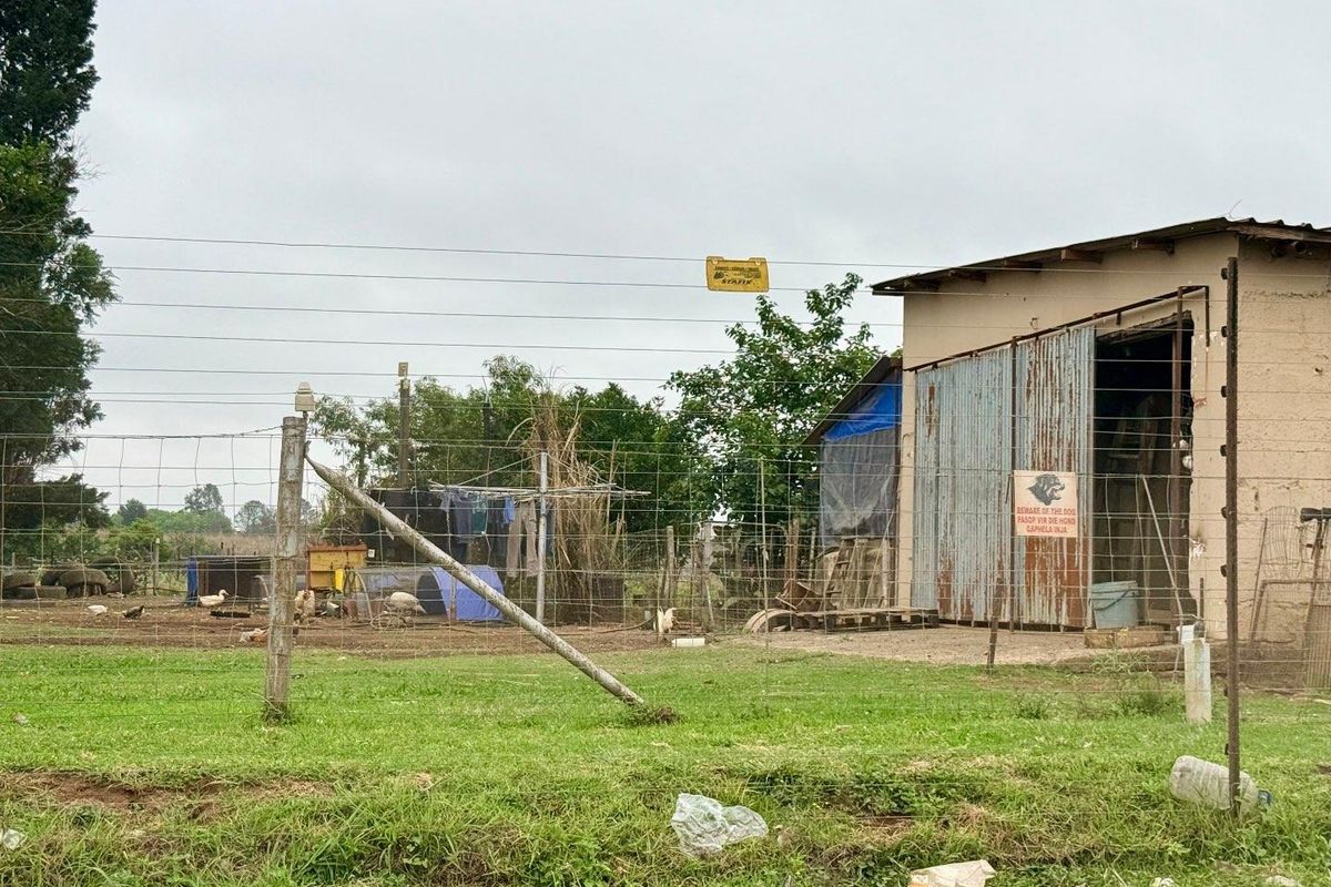Exterior view of a small holding featuring a corrugated metal outbuilding, wire fencing, and an open yard area.